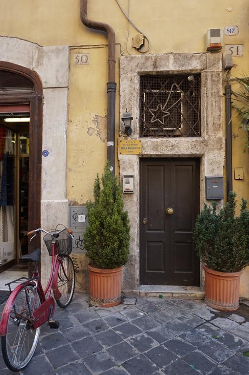 B&B City'S House Roma Dış mekan fotoğraf